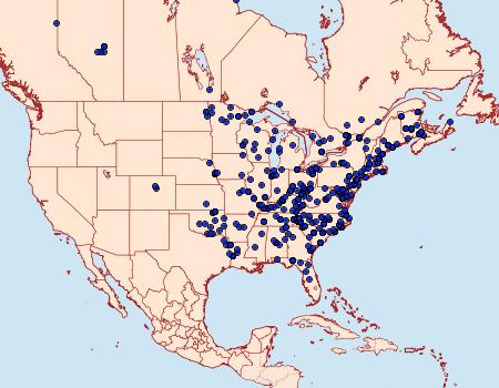 Distribution Data for Chytonix palliatricula