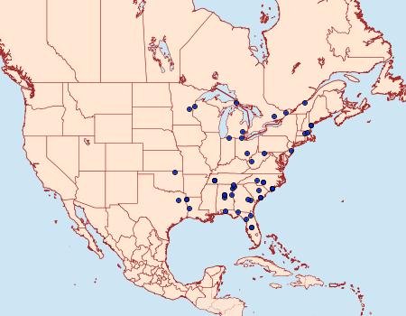 Distribution Data for Chytonix sensilis