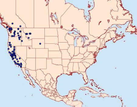 Distribution Data for 