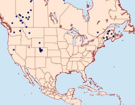 Distribution Data for Andropolia contacta