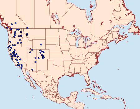 Distribution Data for Andropolia theodori