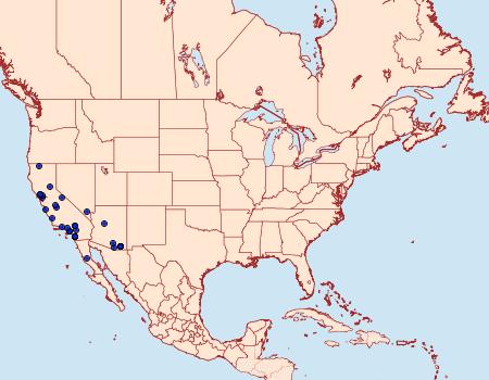 Distribution Data for Properigea suffusa