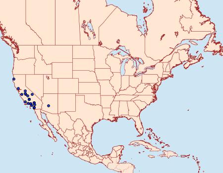 Distribution Data for Properigea perolivalis