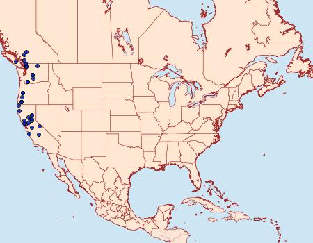 Distribution Data for Pseudobryomima muscosa