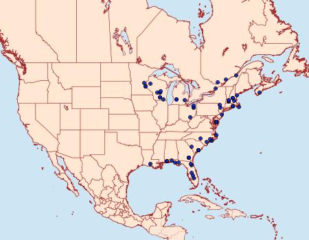 Distribution Data for Fagitana littera