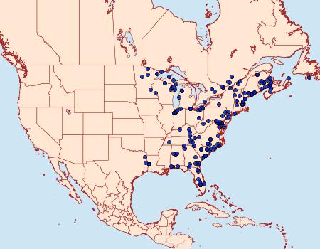 Distribution Data for Callopistria cordata