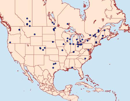 Distribution Data for Amphipyra glabella