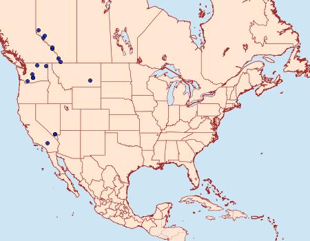 Distribution Data for Caradrina anotha