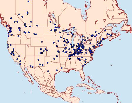 Distribution Data for Proxenus miranda