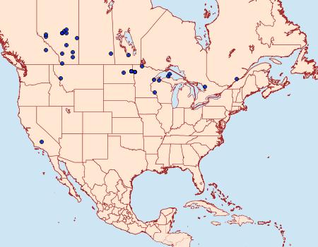 Distribution Data for Proxenus mendosa