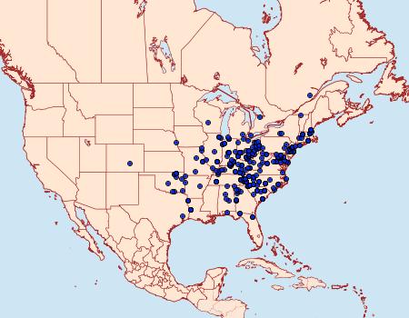 Distribution Data for Athetis tarda