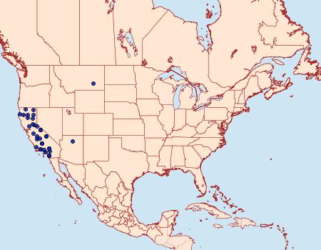 Distribution Data for Caradrina mona