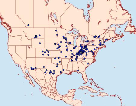 Distribution Data for Crambodes talidiformis