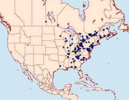 Distribution Data for Balsa malana