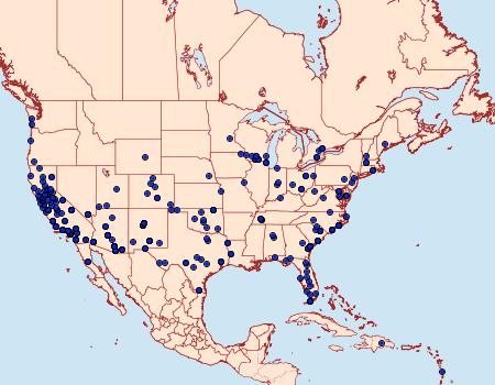 Distribution Data for Spodoptera exigua