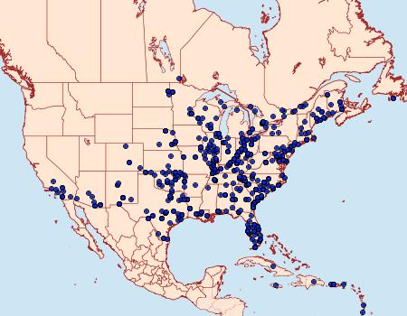 Distribution Data for Spodoptera frugiperda