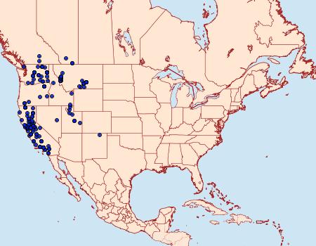 Distribution Data for Spodoptera praefica