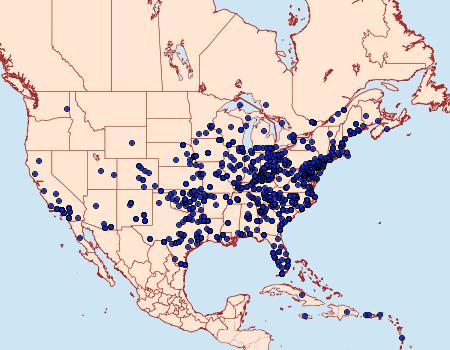 Distribution Data for Spodoptera ornithogalli