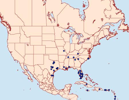 Distribution Data for Spodoptera albula