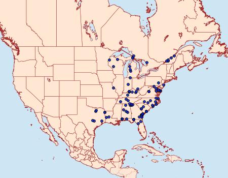 Distribution Data for Elaphria georgei