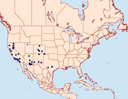 Distribution Data for Condica albolabes