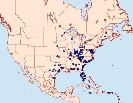 Distribution Data for Condica sutor