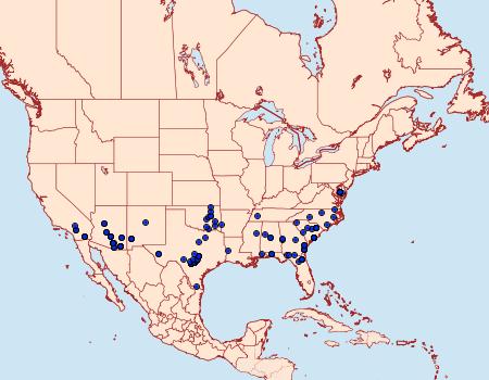 Distribution Data for Emarginea percara