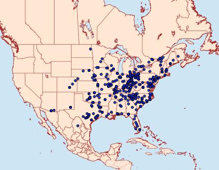 Distribution Data for Ogdoconta cinereola