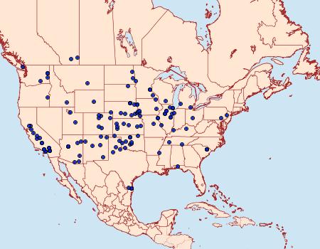 Distribution Data for Plagiomimicus spumosum