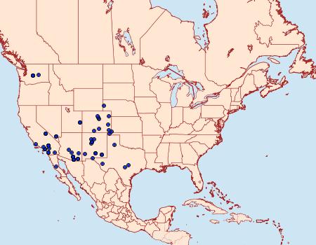 Distribution Data for Plagiomimicus tepperi