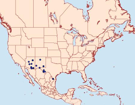 Distribution Data for Chalcopasta howardi