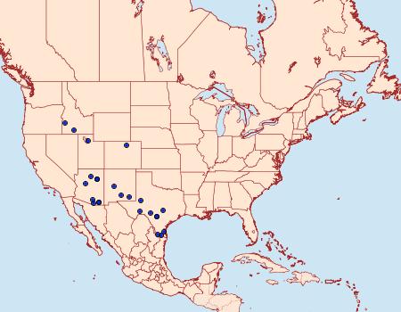 Distribution Data for Stiria intermixta