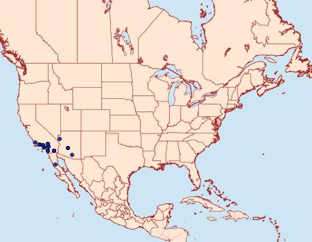 Distribution Data for Nocloa rivulosa