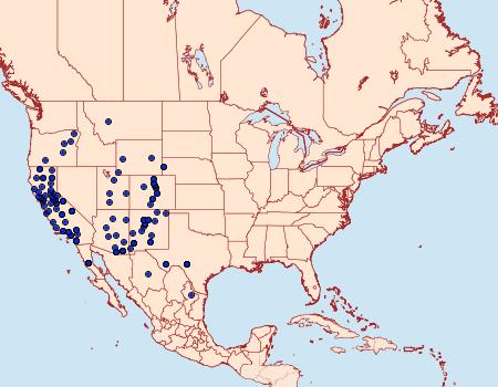 Distribution Data for Ethmia discostrigella