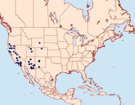 Distribution Data for Ethmia semitenebrella