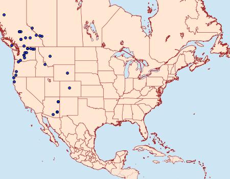 Distribution Data for Cosmia elisae