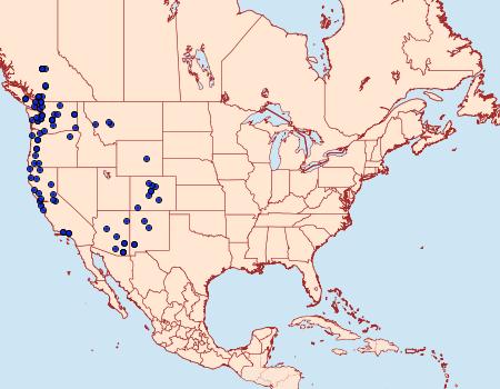 Distribution Data for Cosmia praeacuta