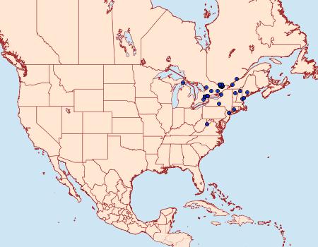 Distribution Data for Ethmia bipunctella