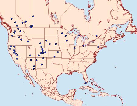 Distribution Data for Ethmia monticola