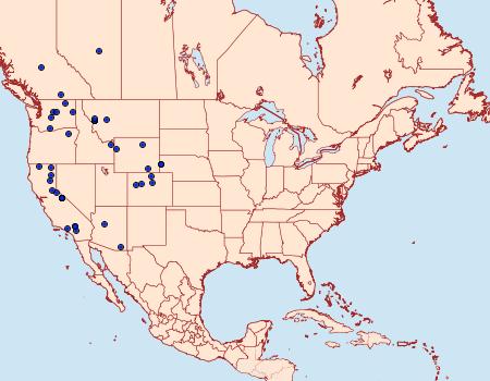 Distribution Data for Xylena brucei