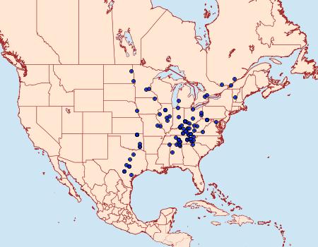 Distribution Data for Ethmia zelleriella