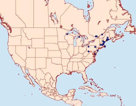 Distribution Data for Psectraglaea carnosa