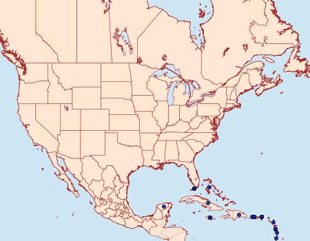 Distribution Data for Ethmia confusella