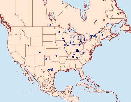 Distribution Data for Ethmia longimaculella