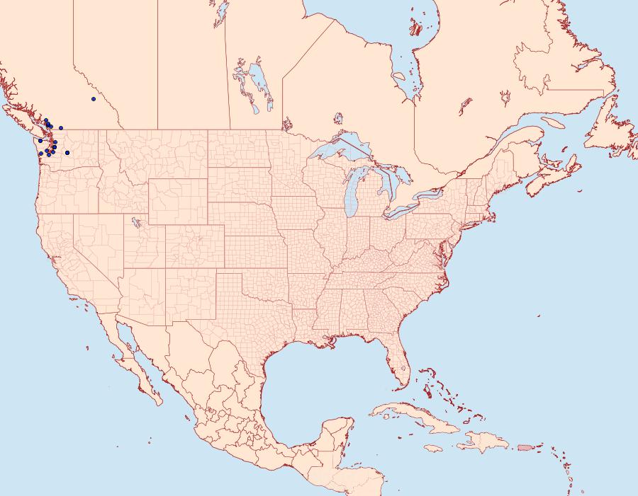 Distribution Data for Epimartyria bimaculella