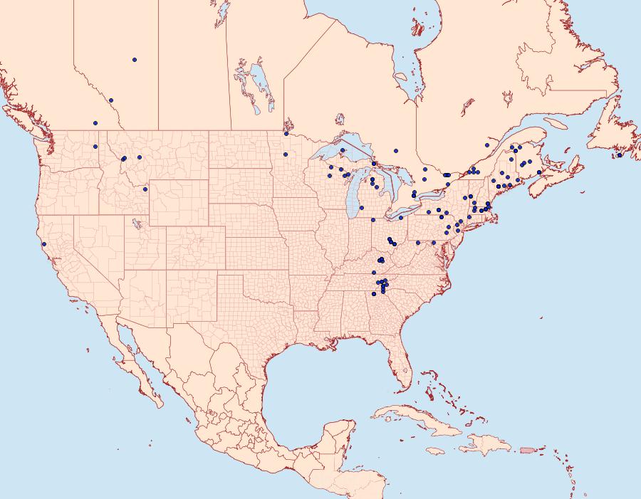 Distribution Data for Feralia jocosa