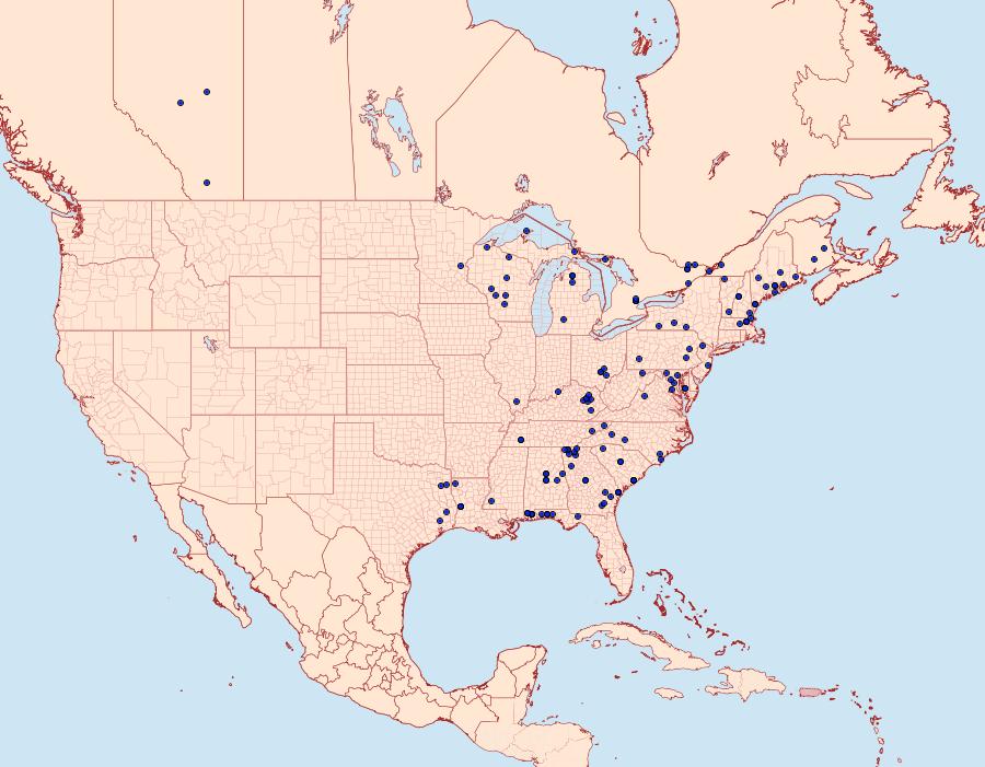 Distribution Data for Feralia major