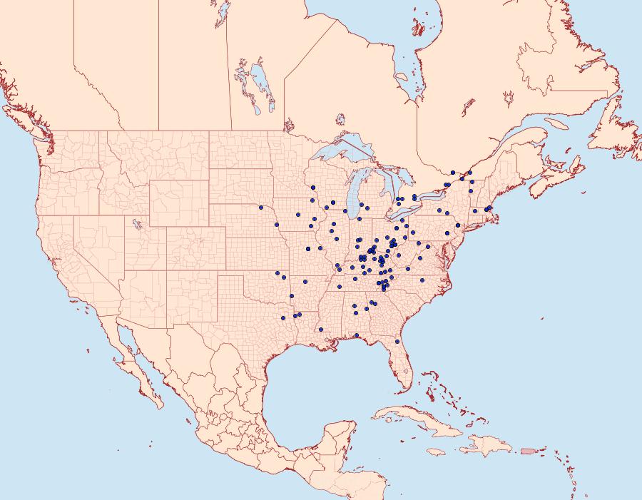 Distribution Data for Psaphida electilis