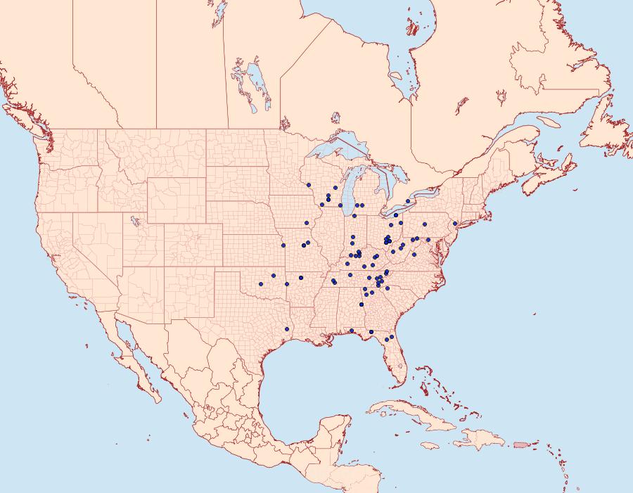 Distribution Data for Psaphida grandis