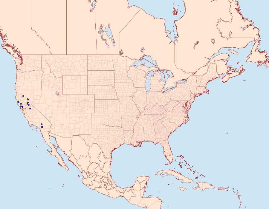 Distribution Data for Pseudocopivaleria sonoma